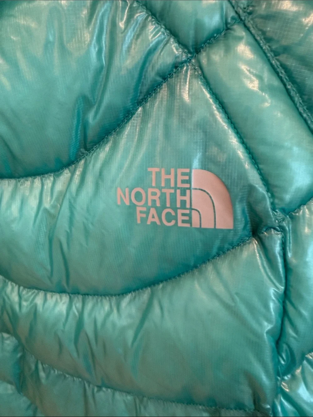The North Face Diez 900 Down Jacket Summit Series Women's Size Small